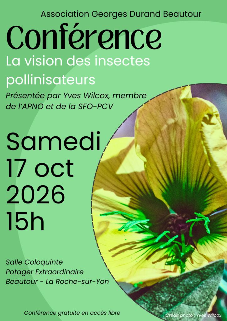 261017 Affiche Conf