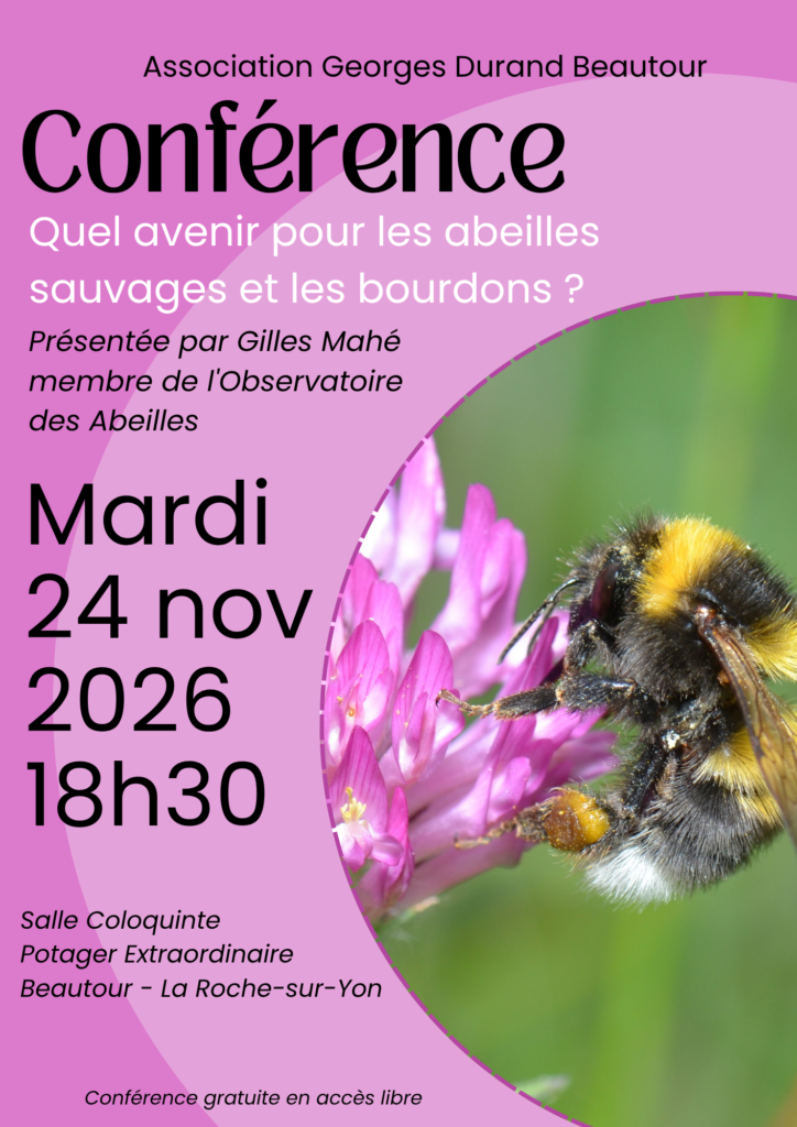 261124 Affiche Conférence